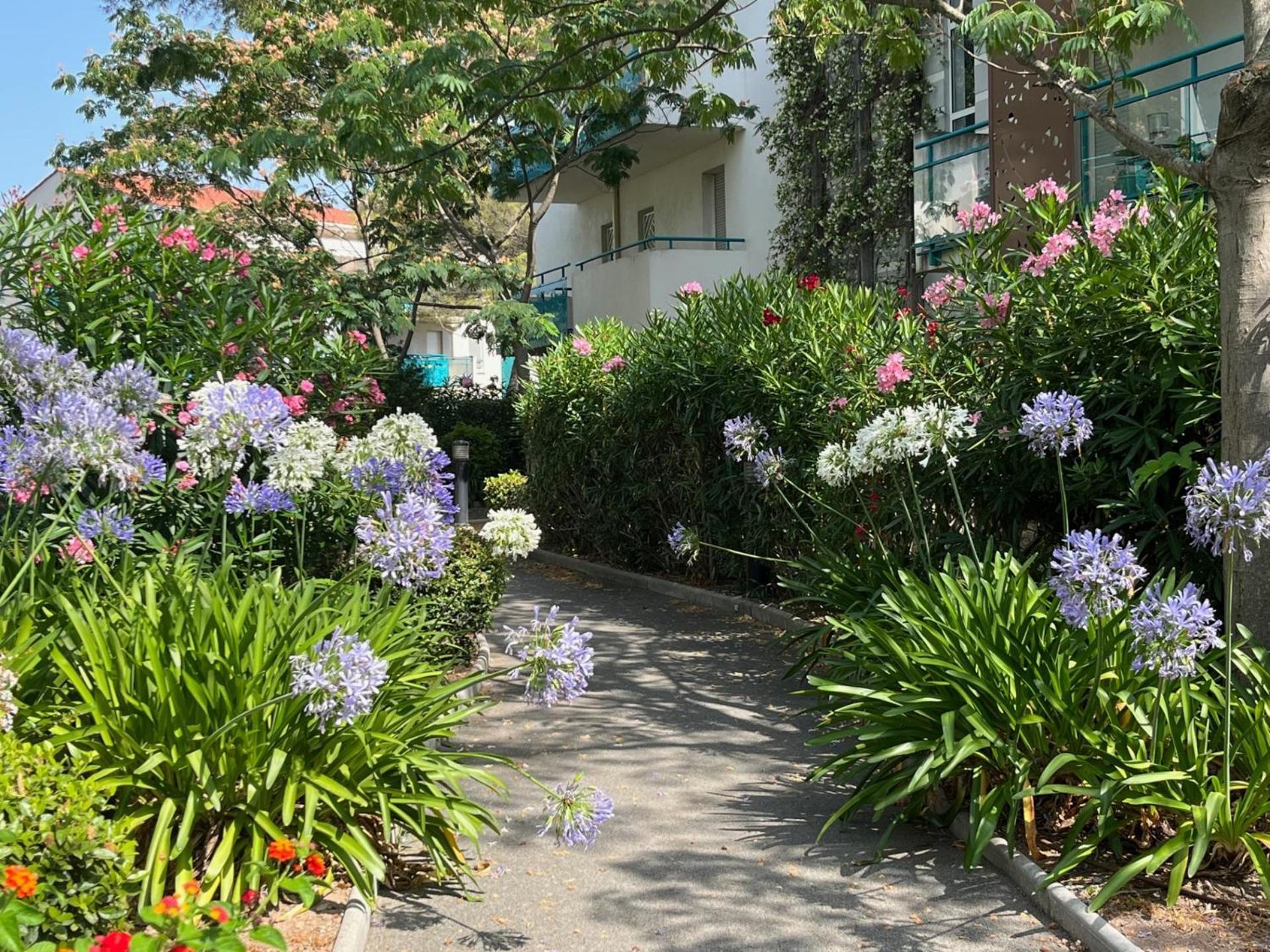 Saint-Raphael, Boulouris, F2 Dans Belle Residence 3 Piscines, Proche Bord De Mer エクステリア 写真